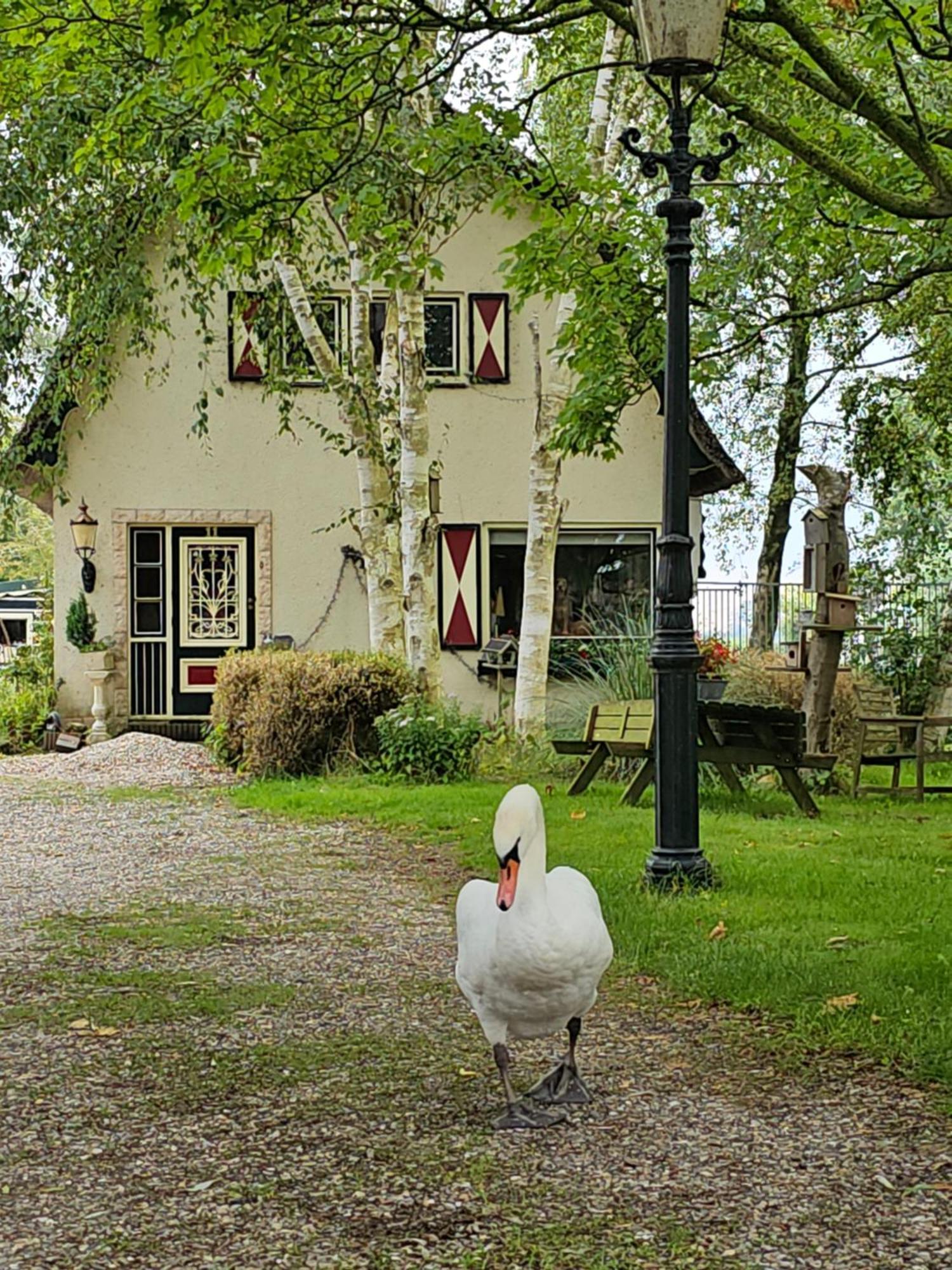 B&B Zusenzomer Oostwoud Exterior foto